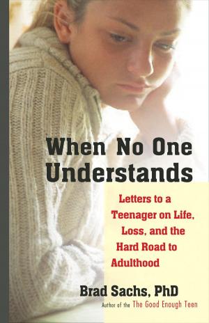 Cover of the book When No One Understands by James Cowan