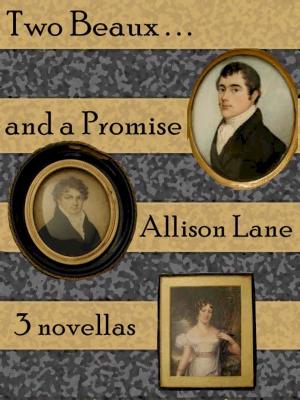 Cover of the book Two Beaux and a Promise Collection by Allison Lane