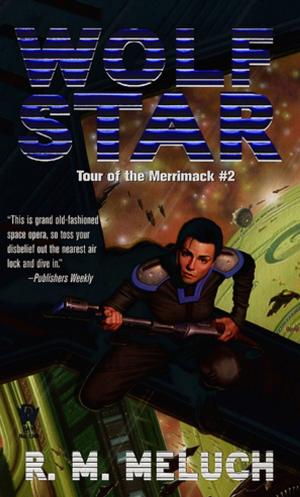 Cover of the book Wolf Star by Mickey Zucker Reichert