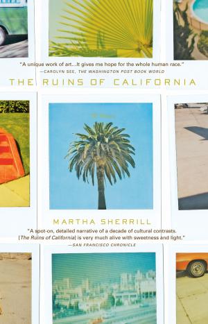 Cover of the book The Ruins of California by Piero Ferrucci, Dalai Lama