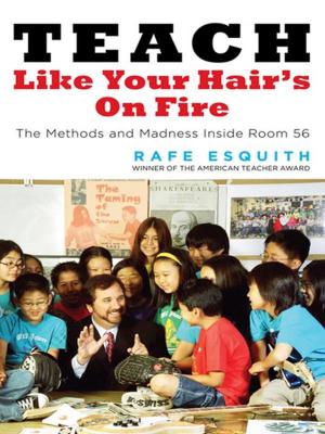 Cover of Teach Like Your Hair's on Fire
