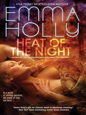 Cover of the book Heat of the Night by LM Foster