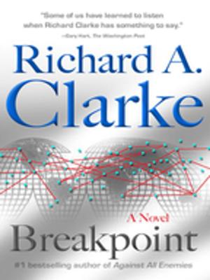 Cover of the book Breakpoint by Patricia A. McKillip