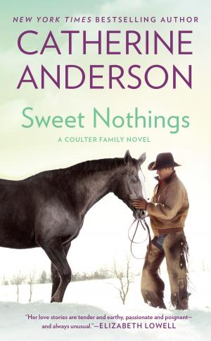 Cover of the book Sweet Nothings by Nancy Martin