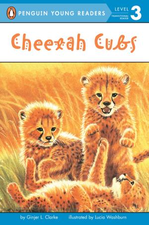 Cover of the book Cheetah Cubs by John Bellairs, Brad Strickland
