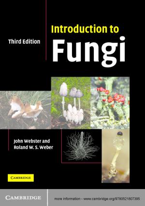 Cover of the book Introduction to Fungi by Professor Sandeep K. S. Gupta, Dr Tridib Mukherjee, Dr Krishna Kumar Venkatasubramanian