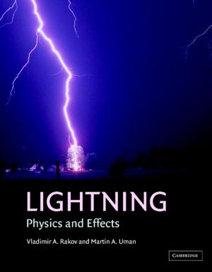 Cover of the book Lightning by Shaomin Li