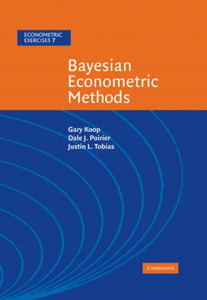 bigCover of the book Bayesian Econometric Methods by 