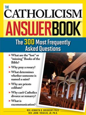 Book cover of The Catholicism Answer Book