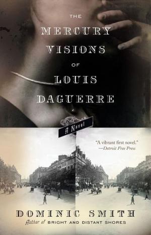 bigCover of the book The Mercury Visions of Louis Daguerre by 