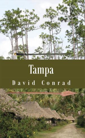 Book cover of Tampa