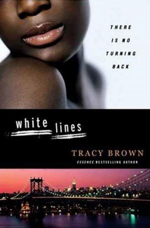 Cover of the book White Lines by Alys Clare