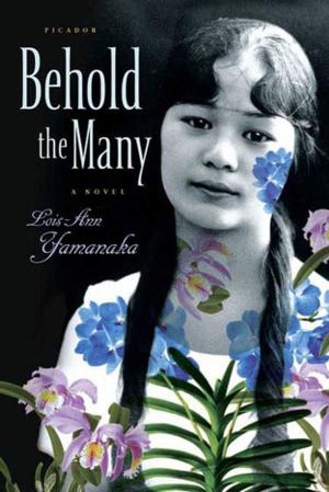 Cover of the book Behold the Many by Jim Wills