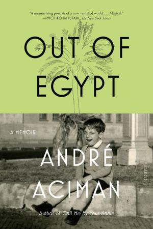 Cover of the book Out of Egypt by James Wright