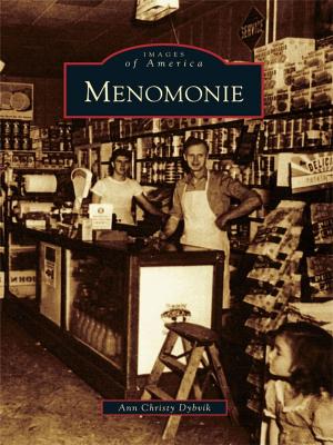 Cover of the book Menomonie by Dina Vargo