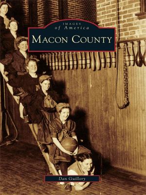 Cover of the book Macon County by Priscilla DaCamara Hancock