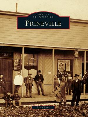 Cover of the book Prineville by Mark Chalkley