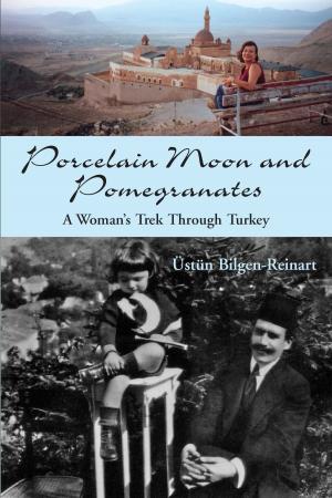 Cover of the book Porcelain Moon and Pomegranates by Janet Kellough
