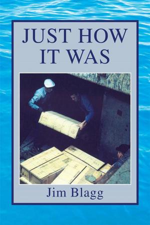 Cover of the book Just How It Was by Kent C. Griswold