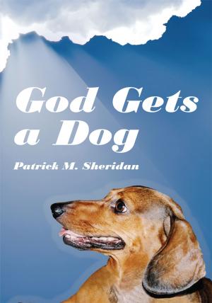 Cover of the book God Gets a Dog by Faye Ivey-Jones