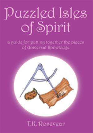 Cover of the book Puzzled Isles of Spirit by Nicky J. Wrzek