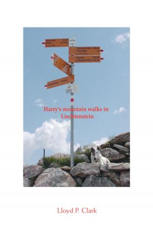 bigCover of the book Harry's Mountain Walks in Liechtenstein by 