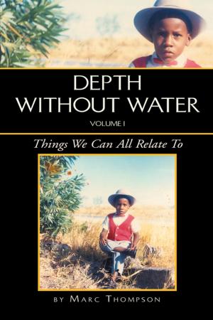 Cover of the book Depth Without Water Volume I by Madeline N. Ndambakuwa