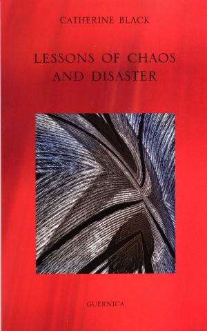 Cover of the book LESSONS OF CHAOS AND DISASTER by Louise Warren
