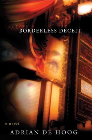 Cover of the book Borderless Deceit by Derek Yetman
