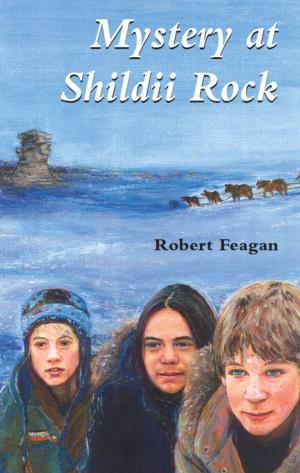 Cover of the book Mystery at Shildii Rock by Marguerite Paulin