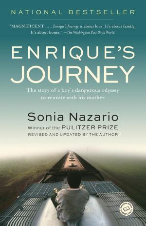 Cover of Enrique's Journey