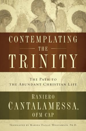 Book cover of Contemplating the Trinity: The Pat to the Abundant Christian Life