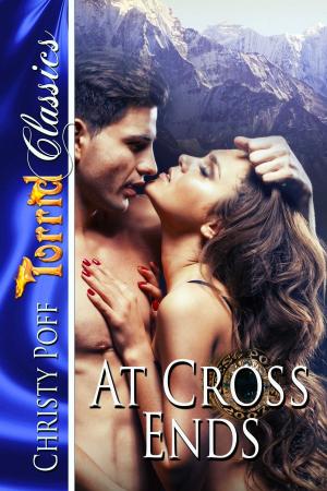 Cover of the book At Cross Ends by Perry Brass