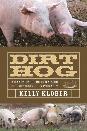Book cover of Dirt Hog