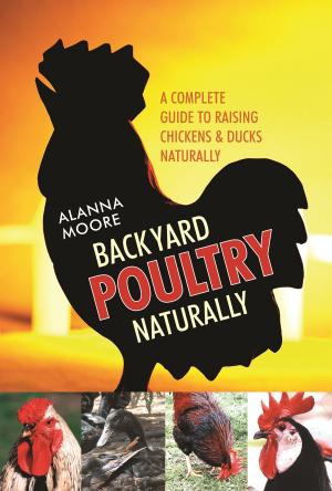 Book cover of Backyard Poultry Naturally