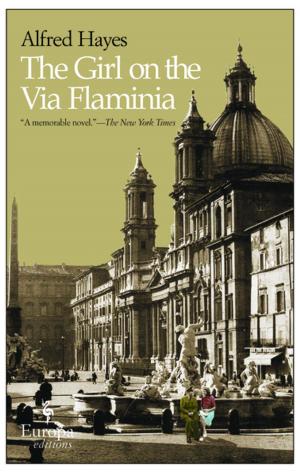 Book cover of The Girl on the Via Flaminia