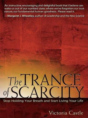 Cover of the book The Trance of Scarcity by Harry E. Chambers