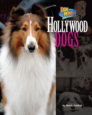 bigCover of the book Hollywood Dogs by 