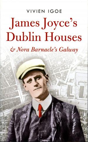 Cover of the book James Joyce's Dublin Houses by Bart Verschaffel