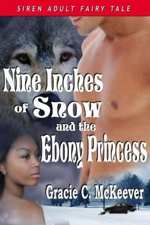 Cover of the book Nine Inches Of Snow And The Ebony Princess by Destiny Blaine