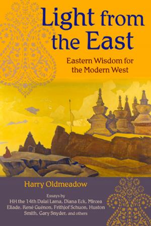 Cover of the book Light from the East by Paul Goble