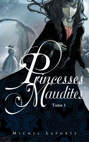 Cover of the book Princesses maudites 1 - L'héritage de Maëlzelgast by Liz Kessler