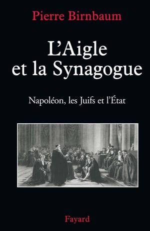 Book cover of L'Aigle et la Synagogue