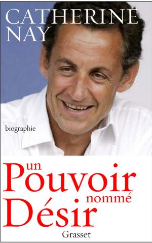 Cover of the book Un pouvoir nommé désir by Max Gallo