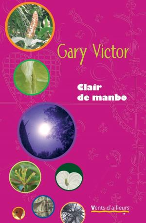 Cover of the book Clair de manbo by Serge Amisi