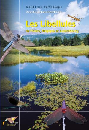 Book cover of Les Libellules de France, Belgique et Luxembourg
