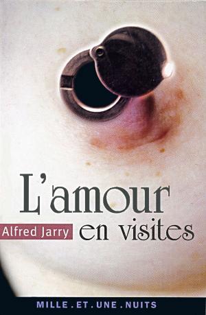 Cover of the book L'amour en visites by Alain Badiou