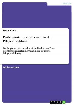 Cover of the book Problemorientiertes Lernen in der Pflegeausbildung by Daniel Schmidt