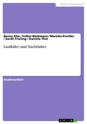 Cover of the book Laufkäfer und Nachtfalter by Eva Nitschke
