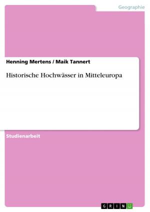 Cover of the book Historische Hochwässer in Mitteleuropa by Christian Scheffel